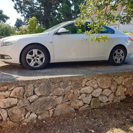 Vacation Bertone